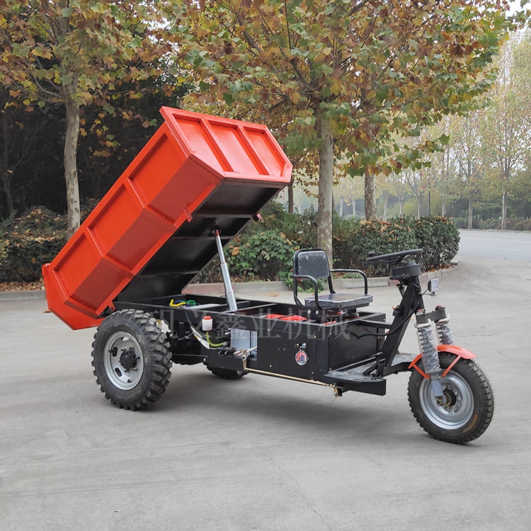 礦用三輪電動(dòng)翻斗車(chē)出口裝箱中